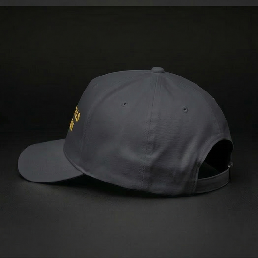 MAKE FESTIVALS CHEAP AGAIN Dad Hat